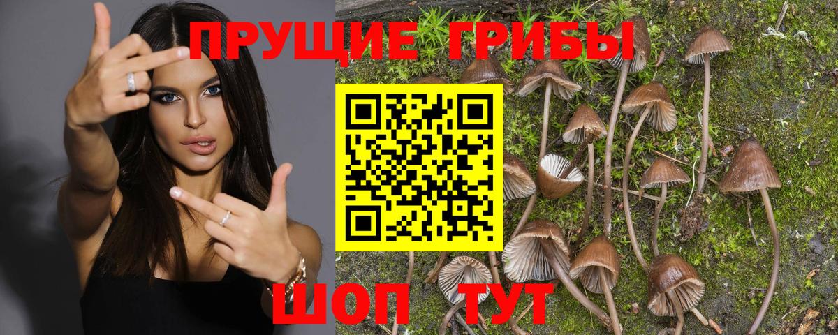 Галлюциногенные грибы MAGIC MUSHROOMS Тула