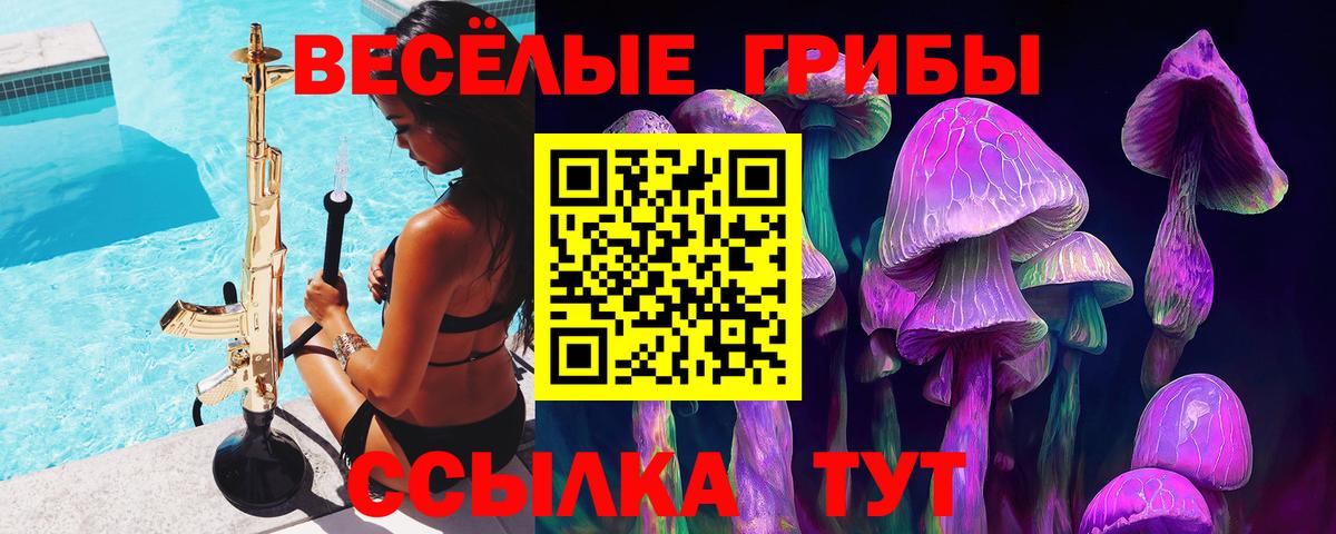 Галлюциногенные грибы Psilocybe  где продают наркотики  Вход с VPN  Тула  Галлюциногенные грибы MAGIC MUSHROOMS 